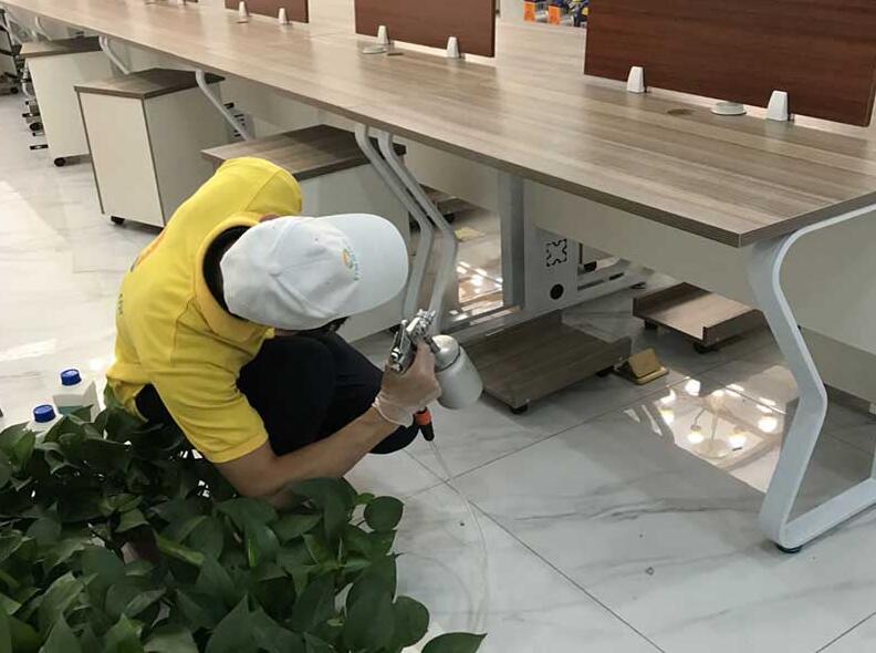 ��������ȩ������������������